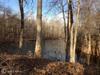 11493 Lake Potomac Drive
 Potomac MD 20854