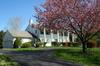 9115 Harrington Drive
 Potomac MD 20854