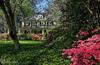 5910 Cedar Parkway
 Chevy Chase MD 20815